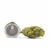 Fleur de CBD Gelato