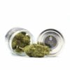CBD Gelato