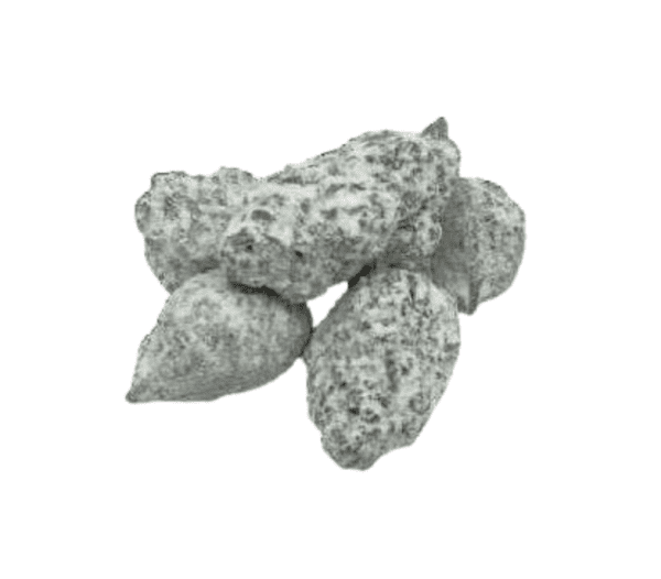 fleur de cbd asteroide