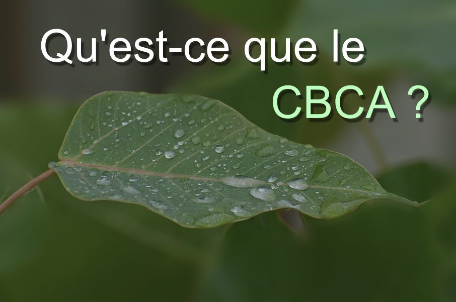 Acide Cannabichromique CBCA