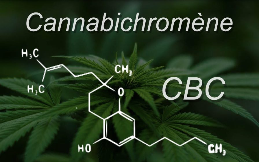 cannabinoide-cannabis-cbc