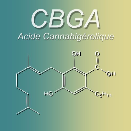 acide-cannabigerolique-CBGA