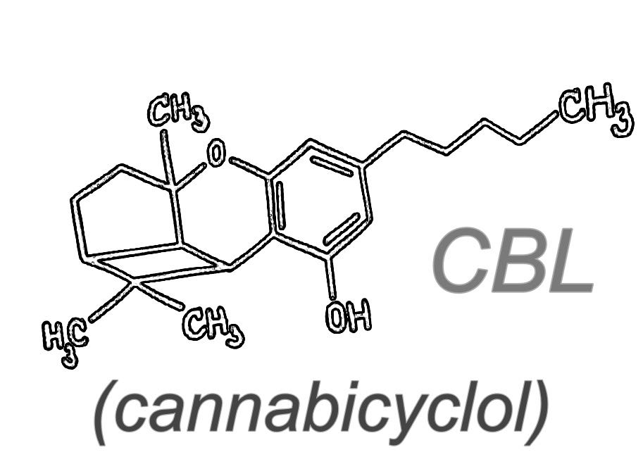 structure-moléculaire-cbl