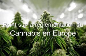 cannabis-récréatif-lois-europe