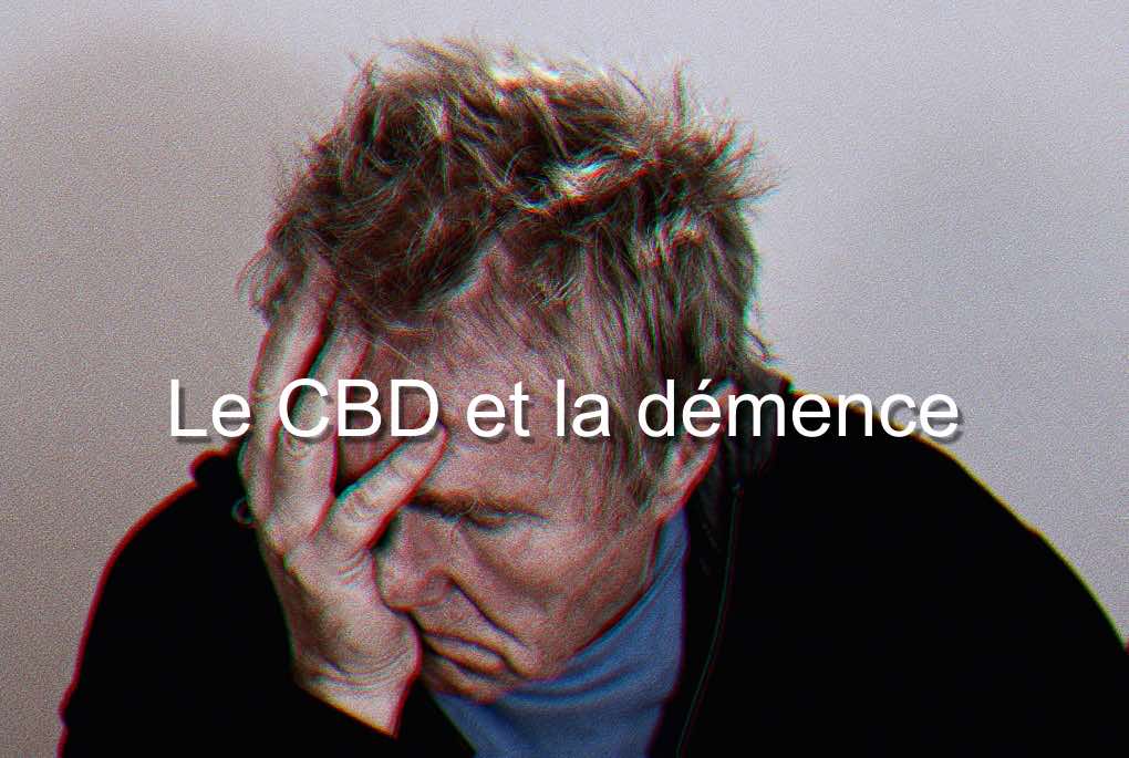 demence-cbd