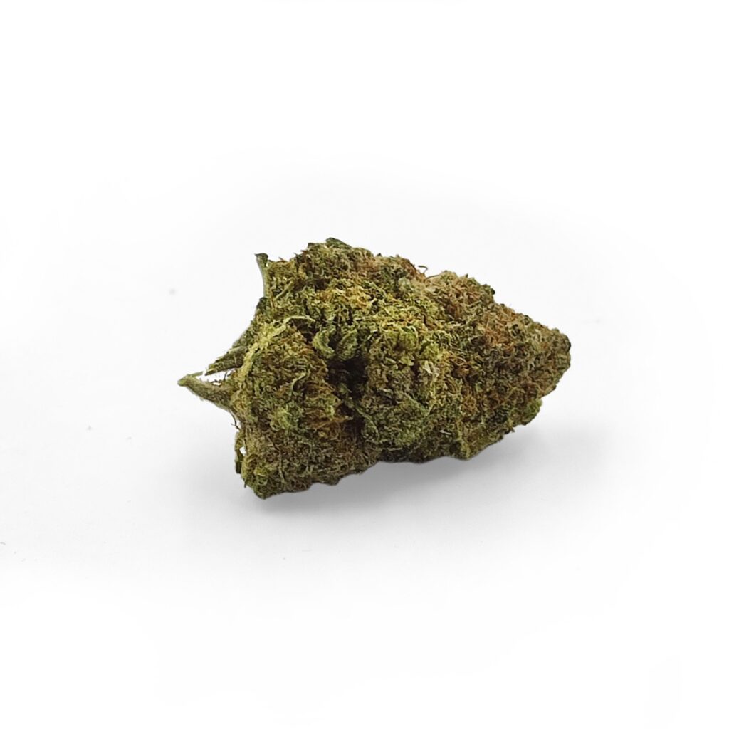 New York Diesel - Kanaleg